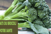 Les 7 bienfaits du Brocoli pour votre santé